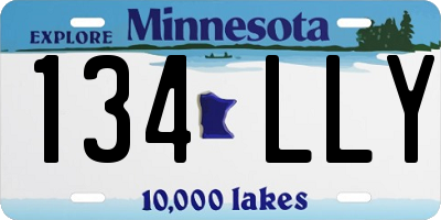 MN license plate 134LLY
