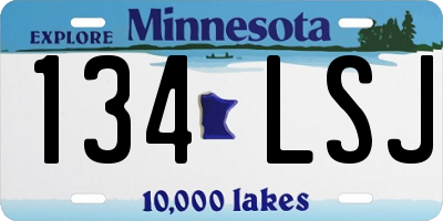 MN license plate 134LSJ