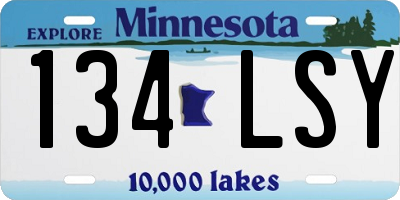 MN license plate 134LSY