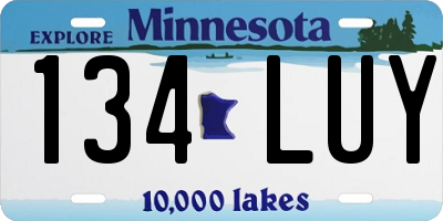 MN license plate 134LUY