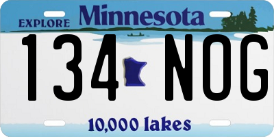MN license plate 134NOG