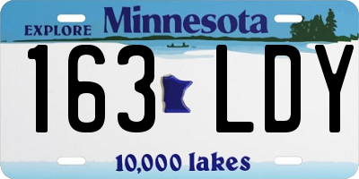 MN license plate 163LDY