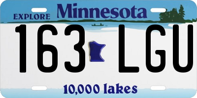 MN license plate 163LGU