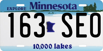 MN license plate 163SEO