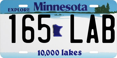 MN license plate 165LAB