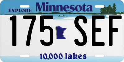 MN license plate 175SEF