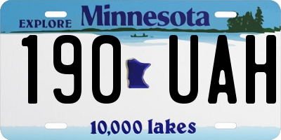 MN license plate 190UAH