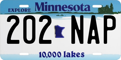 MN license plate 202NAP