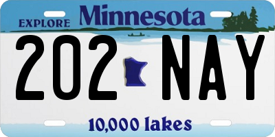 MN license plate 202NAY