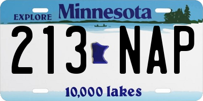MN license plate 213NAP
