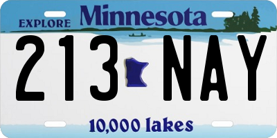 MN license plate 213NAY