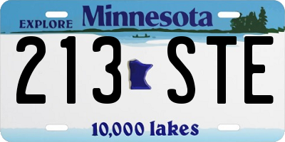 MN license plate 213STE