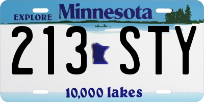 MN license plate 213STY
