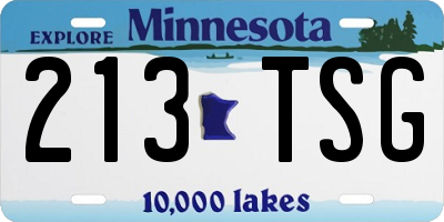 MN license plate 213TSG