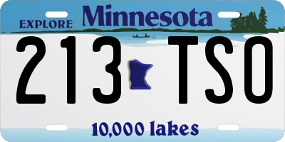 MN license plate 213TSO