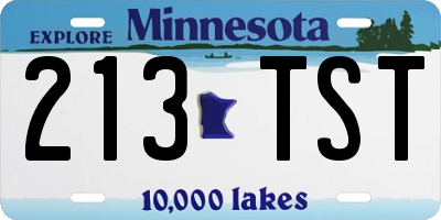 MN license plate 213TST