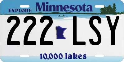 MN license plate 222LSY