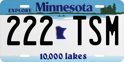 MN license plate 222TSM