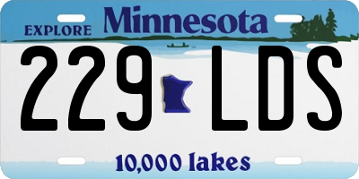 MN license plate 229LDS