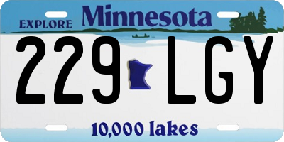 MN license plate 229LGY