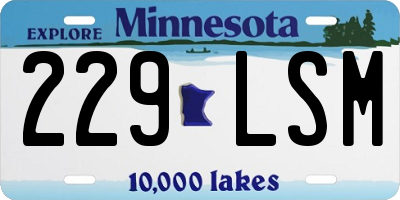 MN license plate 229LSM