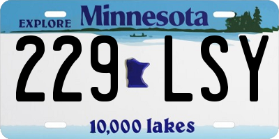 MN license plate 229LSY