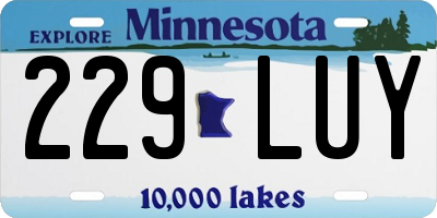 MN license plate 229LUY