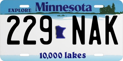 MN license plate 229NAK