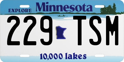 MN license plate 229TSM