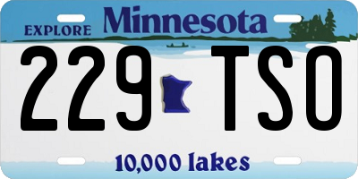 MN license plate 229TSO