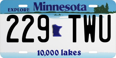 MN license plate 229TWU