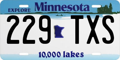 MN license plate 229TXS