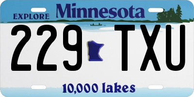 MN license plate 229TXU