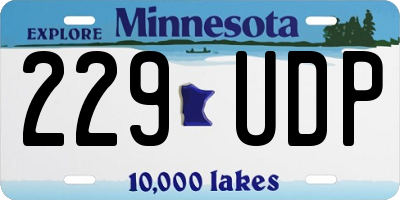 MN license plate 229UDP