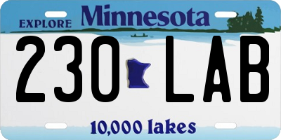 MN license plate 230LAB