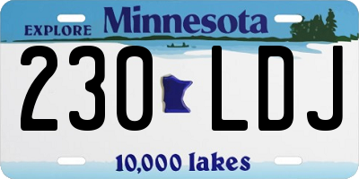 MN license plate 230LDJ