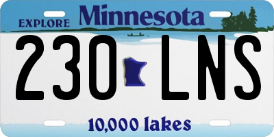 MN license plate 230LNS