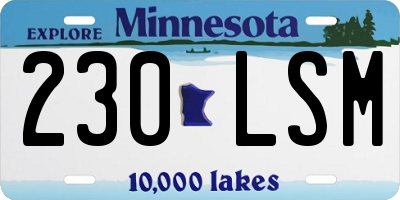 MN license plate 230LSM
