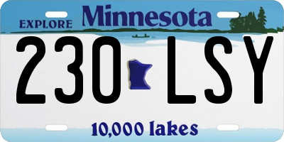 MN license plate 230LSY