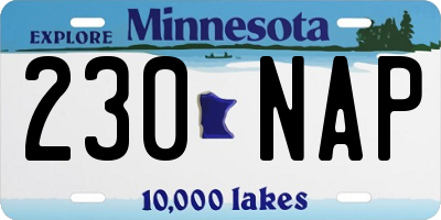 MN license plate 230NAP