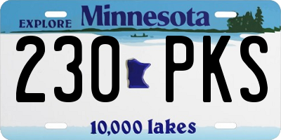 MN license plate 230PKS