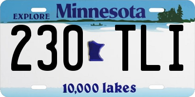 MN license plate 230TLI