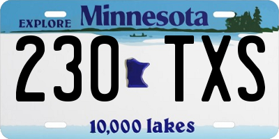 MN license plate 230TXS