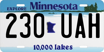 MN license plate 230UAH