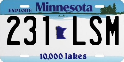 MN license plate 231LSM