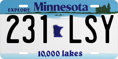MN license plate 231LSY