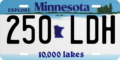 MN license plate 250LDH