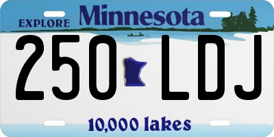 MN license plate 250LDJ