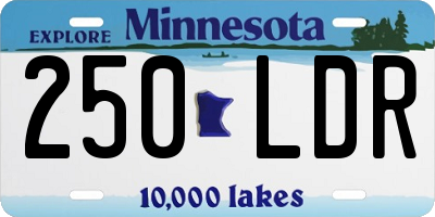 MN license plate 250LDR