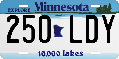 MN license plate 250LDY